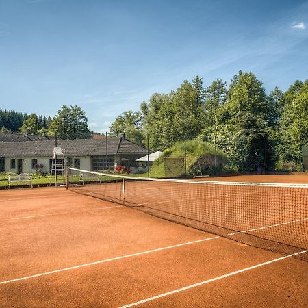 فندق Penzion U Dracice Nová Bystřice المظهر الخارجي الصورة